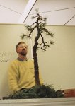 Erstgestaltung anläßlich der Jahreshauptversammlung des Deutschen Bonsai-Clubs 1991